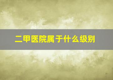 二甲医院属于什么级别