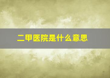 二甲医院是什么意思 