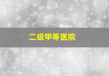 二级甲等医院 