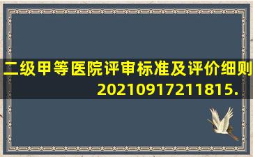 二级甲等医院评审标准及评价细则20210917211815.docx