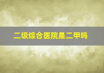 二级综合医院是二甲吗(