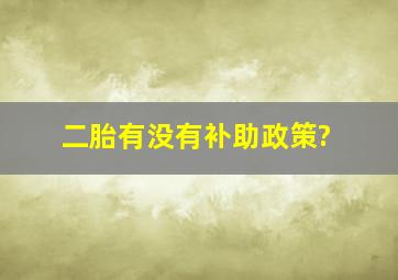 二胎有没有补助政策?