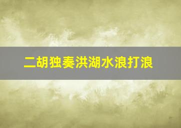 二胡独奏洪湖水浪打浪(