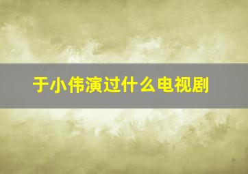 于小伟演过什么电视剧