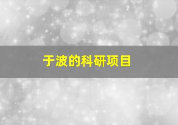 于波的科研项目