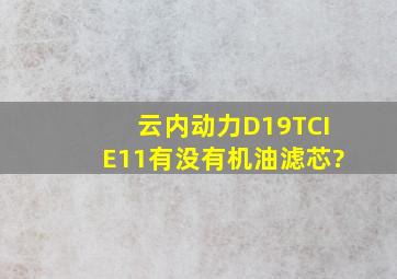 云内动力D19TCIE11有没有机油滤芯?