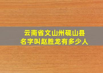 云南省,文山州,砚山县,名字叫赵胜龙有多少人