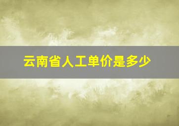 云南省人工单价是多少