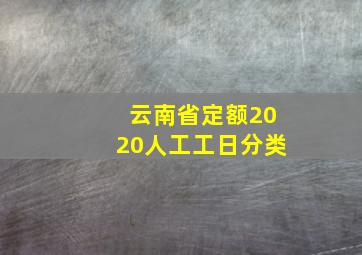 云南省定额2020人工工日分类