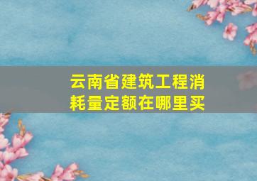 云南省建筑工程消耗量定额在哪里买