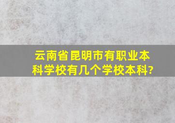 云南省昆明市有职业本科学校有几个学校本科?