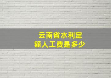 云南省水利定额人工费是多少