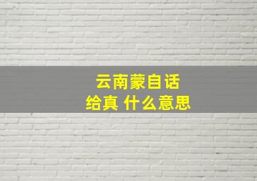 云南蒙自话 给真 什么意思