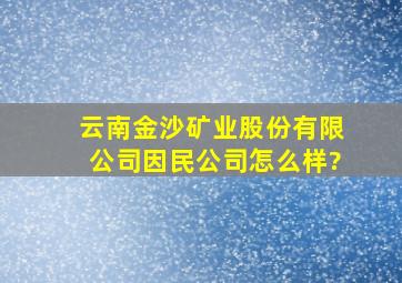 云南金沙矿业股份有限公司因民公司怎么样?