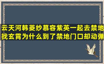 云天河,韩菱纱,慕容紫英一起去禁地找玄霄,为什么到了禁地门口却动弹...