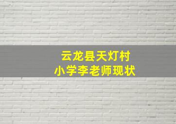 云龙县天灯村小学李老师现状