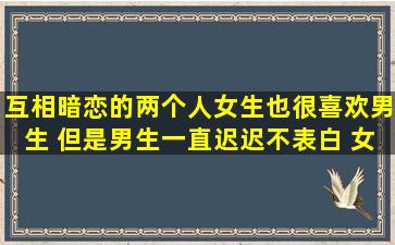 互相暗恋的两个人,女生也很喜欢男生 但是男生一直迟迟不表白 女生...