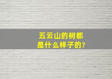 五云山的树都是什么样子的?