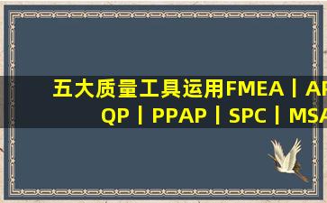 五大质量工具运用(FMEA丨APQP丨PPAP丨SPC丨MSA)|叶礼萍