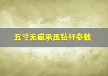 五寸无磁承压钻杆参数