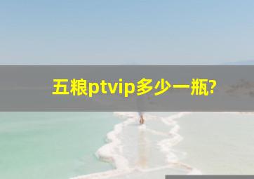 五粮ptvip多少一瓶?