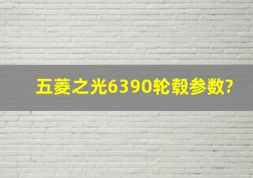 五菱之光6390轮毂参数?