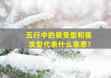 五行中的弱受型和强攻型代表什么意思?