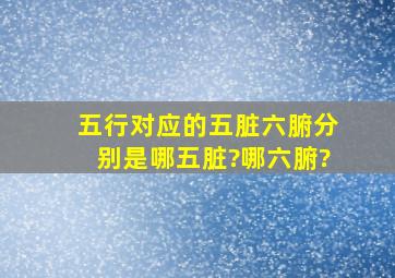 五行对应的五脏六腑分别是哪五脏?哪六腑?