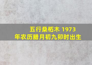 五行桑柘木 1973年农历腊月初九卯时出生