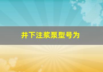 井下注浆泵型号为