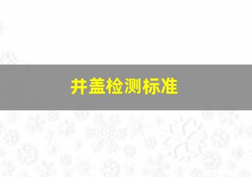 井盖检测标准