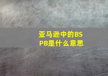 亚马逊中的BS PB是什么意思