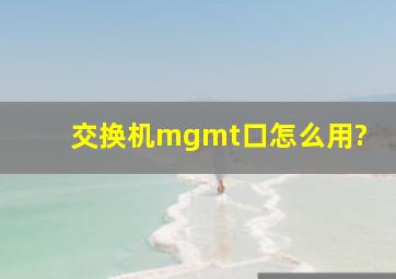 交换机mgmt口怎么用?