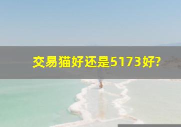 交易猫好还是5173好?