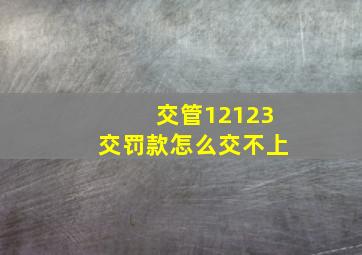 交管12123交罚款怎么交不上