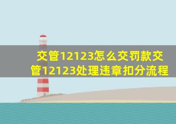 交管12123怎么交罚款交管12123处理违章扣分流程(