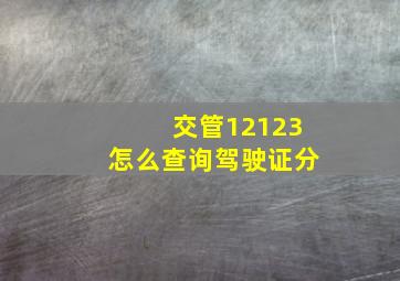 交管12123怎么查询驾驶证分