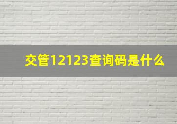 交管12123查询码是什么(