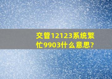 交管12123系统繁忙9903什么意思?