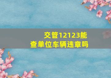 交管12123能查单位车辆违章吗