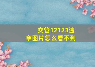 交管12123违章图片怎么看不到