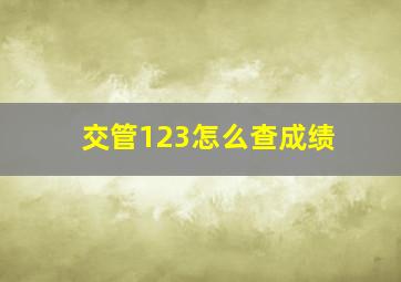 交管123怎么查成绩