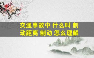 交通事故中 什么叫 制动距离 制动 怎么理解