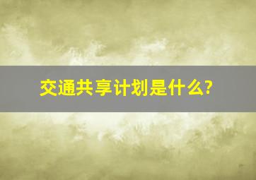 交通共享计划是什么?