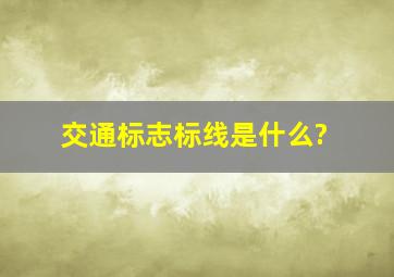 交通标志标线是什么?