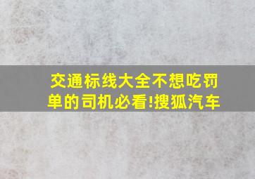 交通标线大全,不想吃罚单的司机必看!搜狐汽车