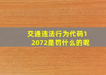 交通违法行为代码12072,是罚什么的呢