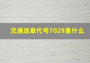 交通违章代号7029是什么