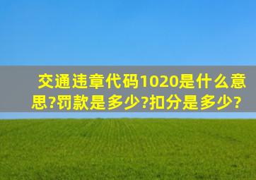 交通违章代码1020是什么意思?罚款是多少?扣分是多少?