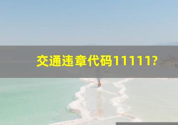 交通违章代码11111?